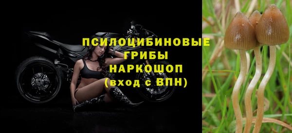 spice Баксан