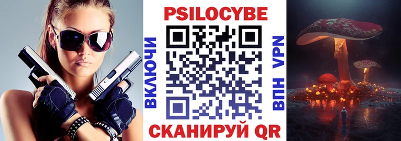 площадка Telegram Жирновск Галлюциногенные грибы Psilocybe
